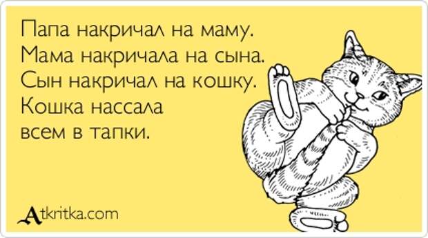 Аткрытка №285844: Папа накричал на маму.  Мама накричала на сына.  Сын накричал на кошку.  Кошка нассала  всем в тапки. - atkritka.com