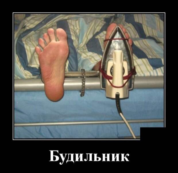 Демотиваторы (30 фото)