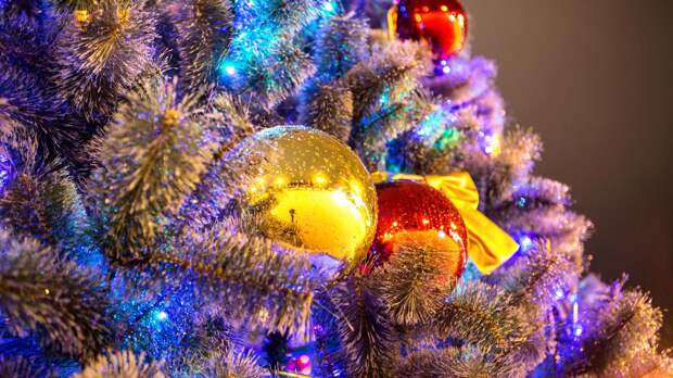 Россиянам разъяснили, как правильно хранить новогодние игрушки
