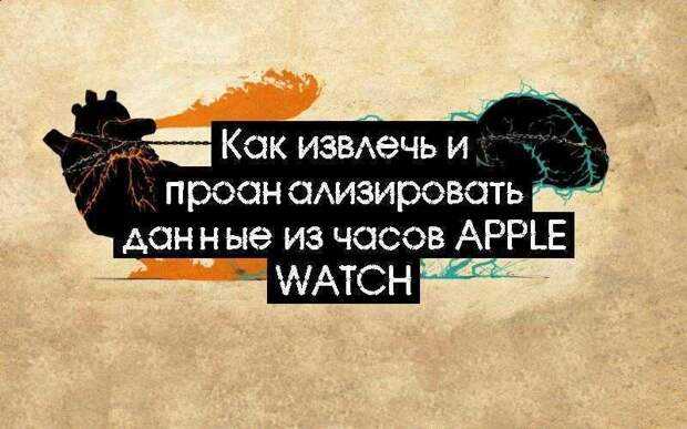 Как извлечь и проанализировать данные из часов Apple Watch