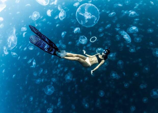 Прогулки под водой: бесстрашные фридайверы в окружении тысяч медуз