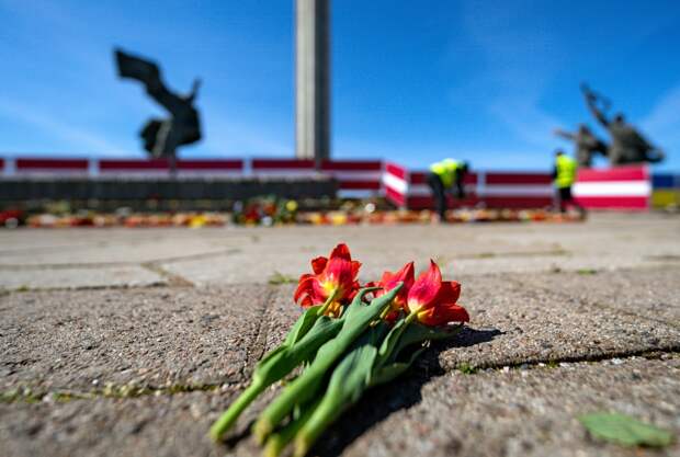 Полиция европейской страны устроила слежку за почтившими память погибших солдат