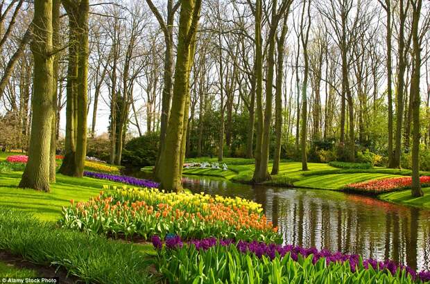 10 самых прекрасных садов мира