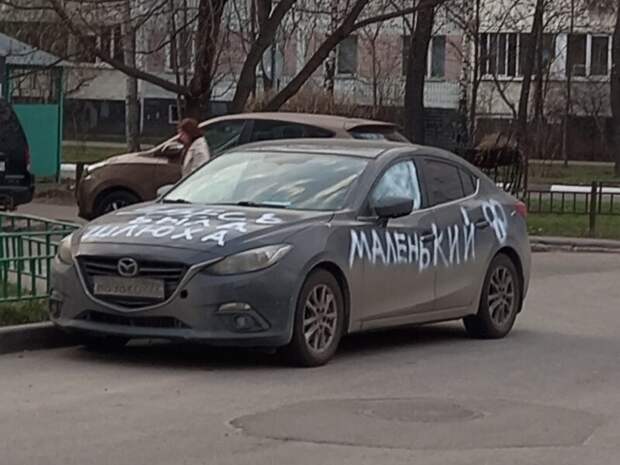 Месть Месть