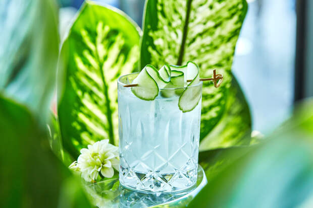 Как настоящий бармен: секреты и рецепты для коктейльной вечеринки