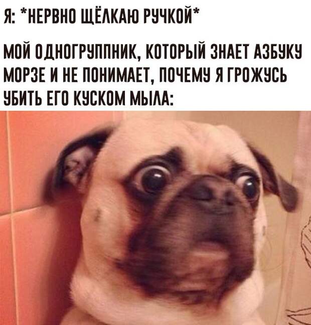 www.vsyako.net
