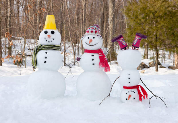 Идеи забавных снеговиков, или Дачный отдых в хорошей компании