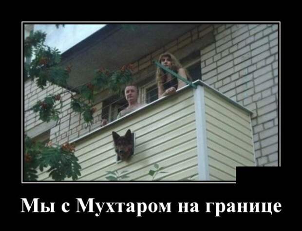 www.vsyako.net