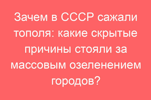 Зачем в СССР сажали тополя: какие скрытые причины стояли за массовым озеленением городов?