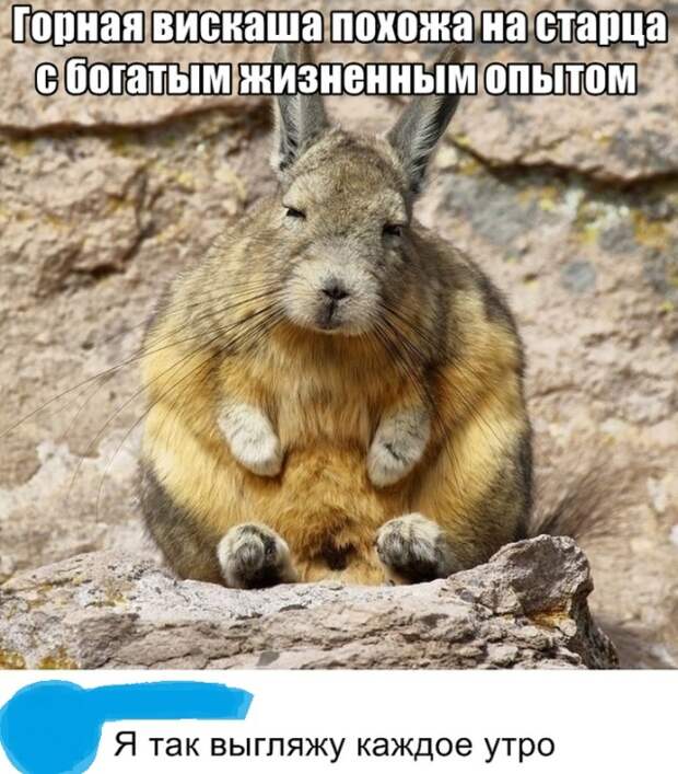 Подборка картинок. Вечерний выпуск (27 фото)