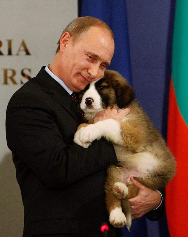 Давайте улыбаться вместе! :)