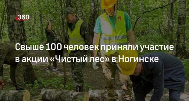 Свыше 100 человек приняли участие в акции «Чистый лес» в Ногинске