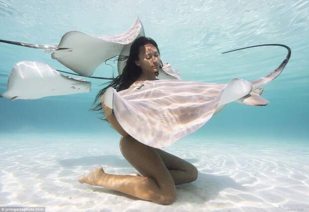 Модель с Таити поражает своими фотосессиями в окружении акул и скатов