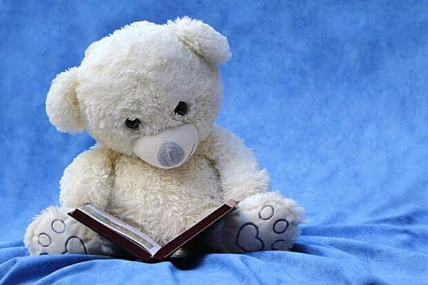книга/pixabay.com