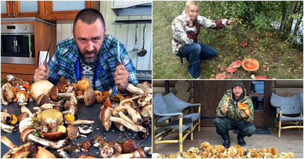Кто из знаменитостей собрал больше всех грибов? грибы, знаменитости, лес, осень