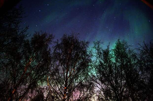 Жители Всеволожского района стали свидетелями «световых столбов»