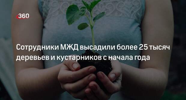 Сотрудники МЖД высадили более 25 тысяч деревьев и кустарников с начала года