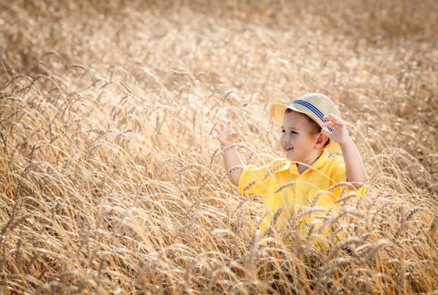 Ну что, ждем очередь за нашей пшеницей? Зерновая биржа БРИКС — сколько зерна можно продать и найдутся ли покупатели