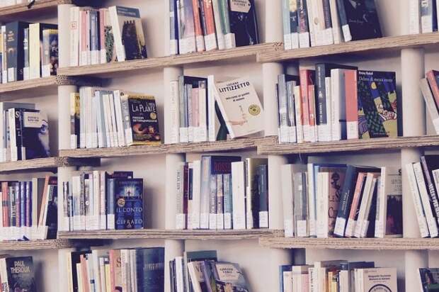 Библиотеки района Лефортово продлили срок сдачи книг