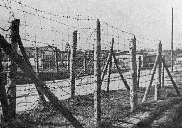 История на стороне России. Две поправки в Конституцию, ради которых стоило ждать 20 лет
