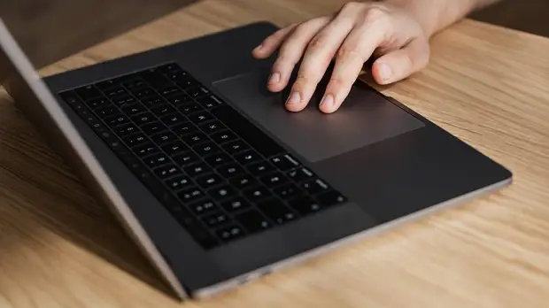 Школы Росси смогут пользоваться аналогами Microsoft с 1 января 2023 года