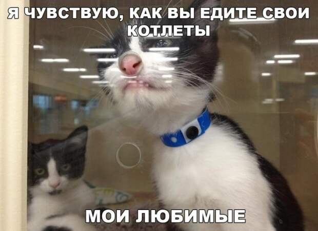 УЛЫБНИСЬ-КА :)