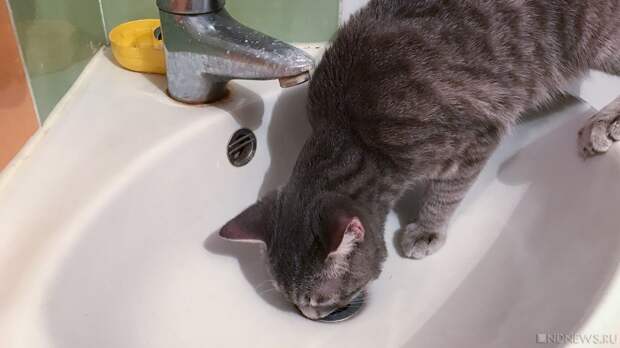 Северо-запад Челябинска ждет еще одно масштабное отключение водоснабжения