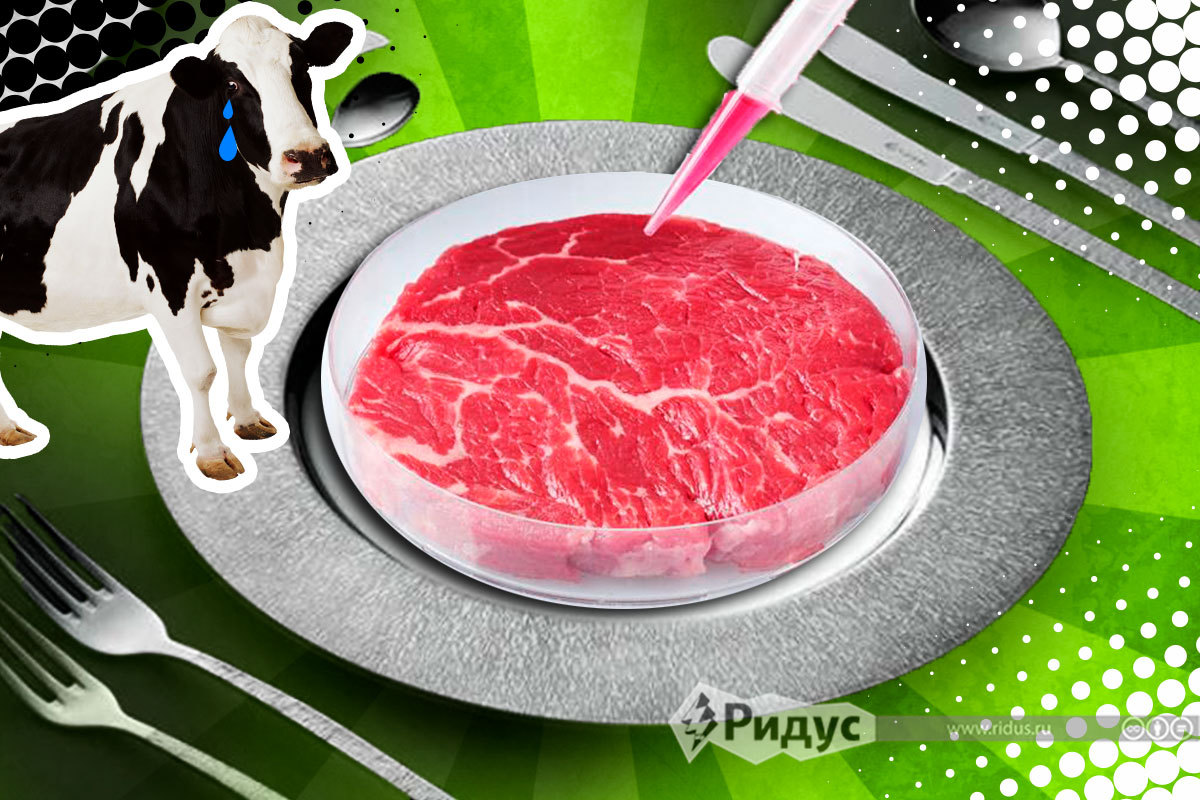 Мясо из пробирки © Михаил Салтыков/коллаж/Ridus.ru