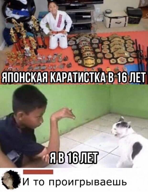 Смешные комментарии к постам в социальных сетях