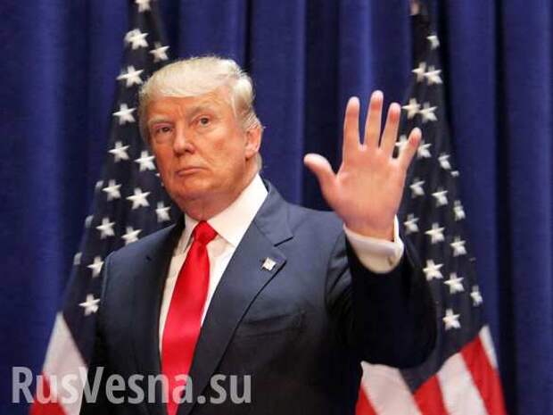 Трамп намекнул на международное признание Республик Донбасса, — немецкие СМИ | Русская весна