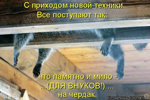 Приколы в котоматрице 3