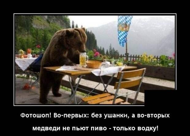 Демотиваторы 14 октября 2021 года