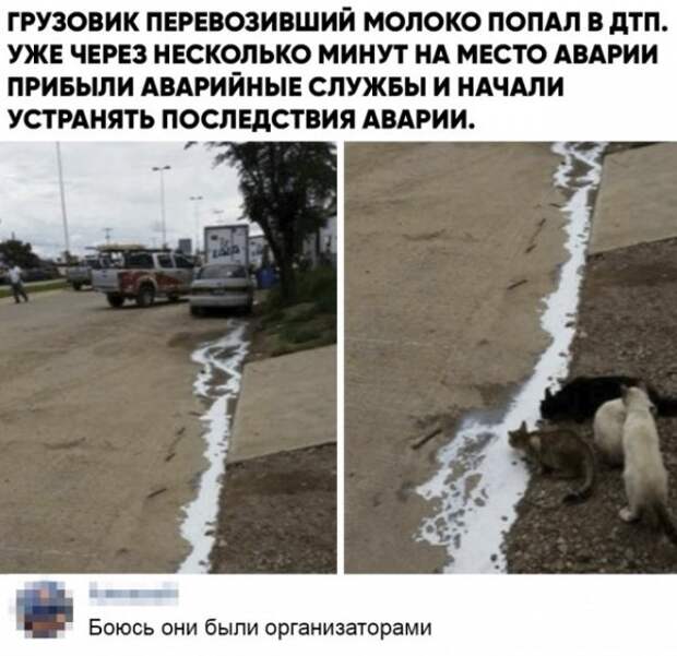 Чуток картинок