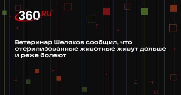 Ветеринар Шеляков сообщил, что стерилизованные животные живут дольше и реже болеют