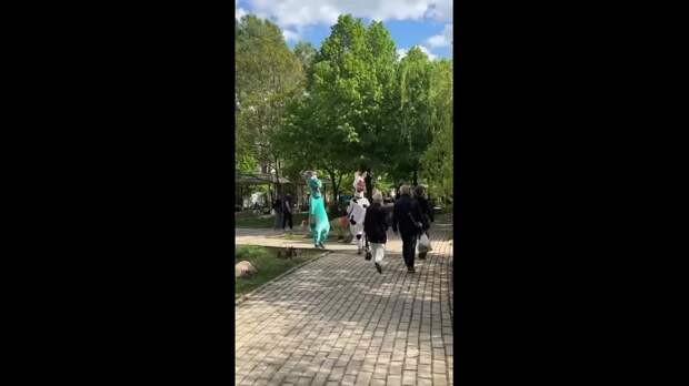 Video: Видео от Донецкая группа новостей|Донецк.ДНР