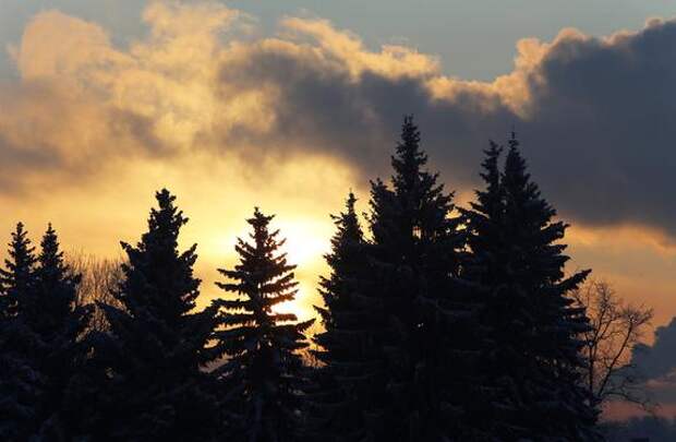 Ученый Богачев объяснил природу магнитных бурь