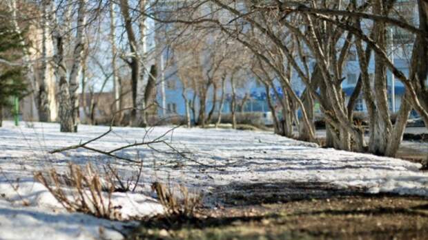 Погода сделает подарок на 8 Марта. Сколько градусов будет на Алтае в праздничные дни