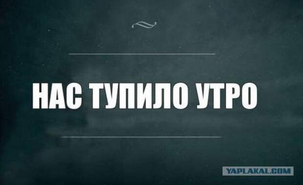 И так каждое утро...
