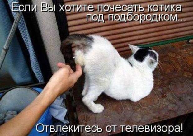 Картинки по запросу фото приколы с надписью