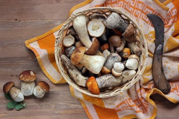 продукты для сжигания жира на животе