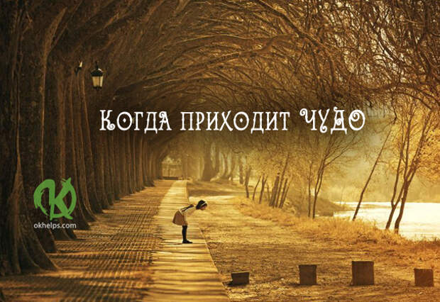 Сказка: Когда приходит чудо
