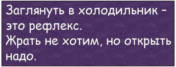 Смешные истории и анекдоты, все для настроения