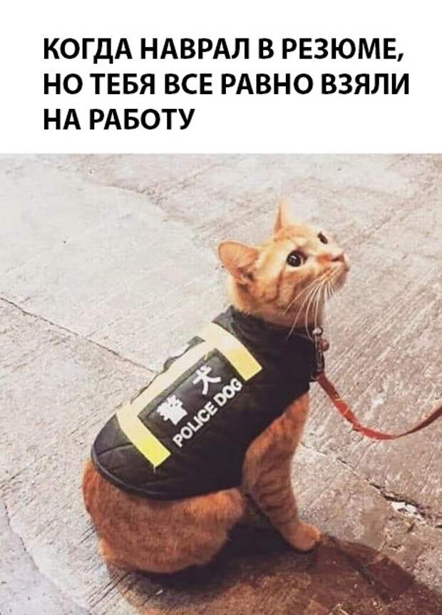 Подборка картинок. Вечерний выпуск (30 фото)