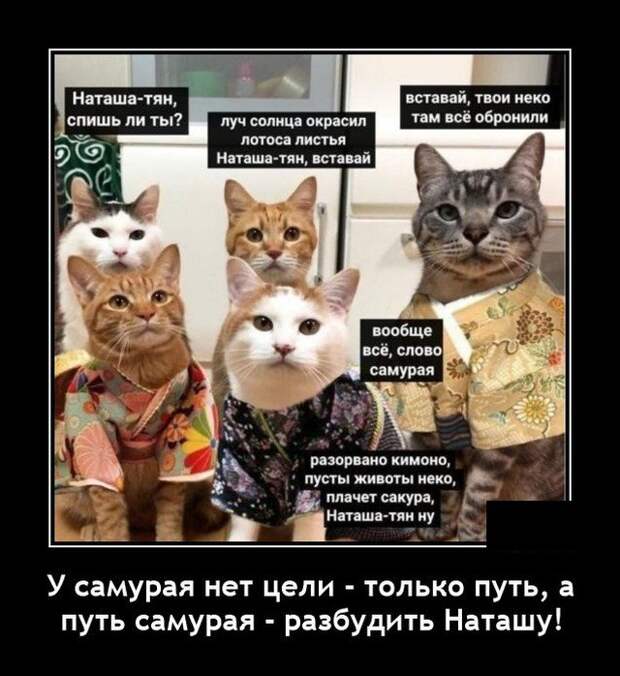 Демотиватор про самураев
