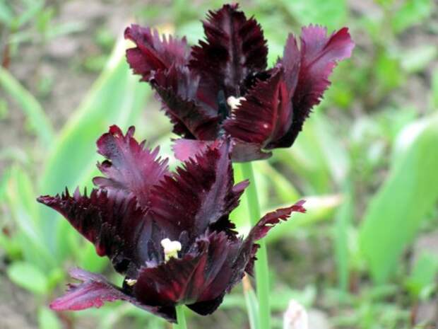 2816x2112_640042_[www.ArtFile.ru]