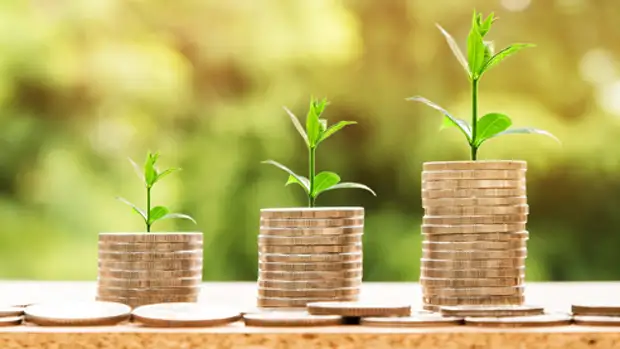 Экология против экономики