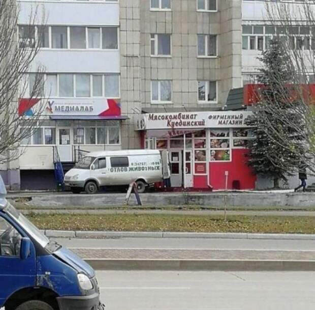 203759_11_trinixy_ru.jpg