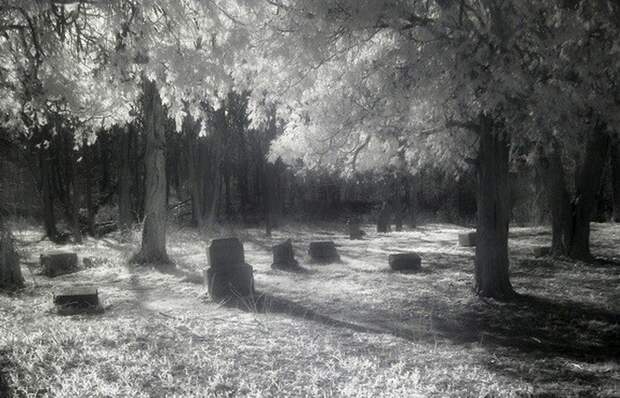 Чикагское кладбище Bachelor’s Grove.