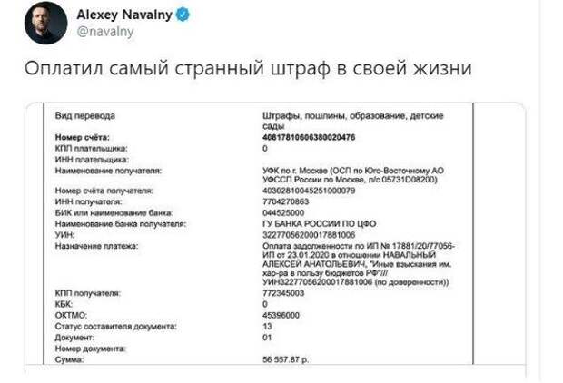 Соболь втихаря оплатила уже 1,5 млн рублей штрафов соболь, навальный, штрафы