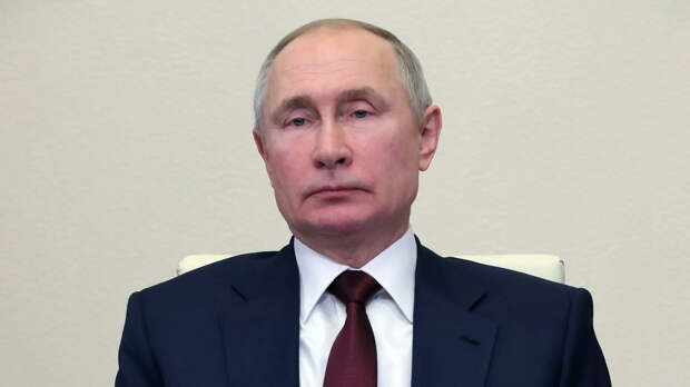 Президент РФ Владимир Путин проводит заседание Совета по науке и образованию в режиме видеоконференции - РИА Новости, 1920, 12.02.2021